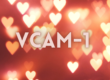 VCAM-1