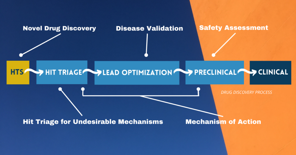 Stages of Drug Discovery