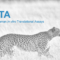 CHITA: Catalog of In Vitro Translational Assays
